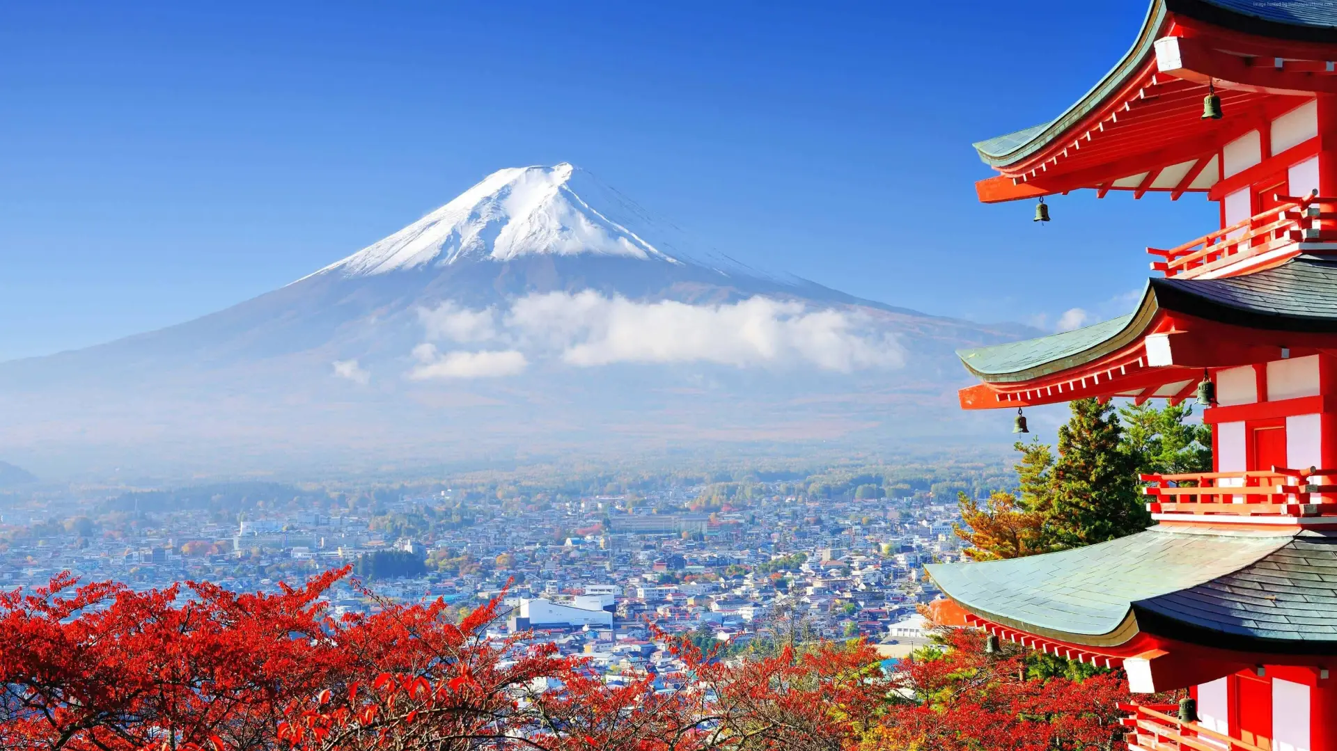 Mt. Fuji & Hakone